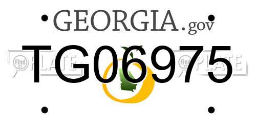TG06975 Georgia License Plate