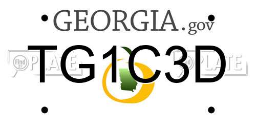 TG1C3D Georgia License Plate