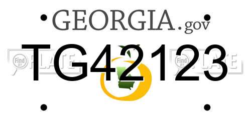 TG42123 Georgia License Plate