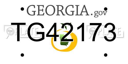 TG42173 Georgia License Plate