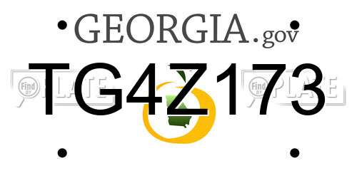 TG4Z173 Georgia License Plate