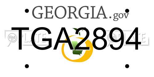 TGA2894 Georgia License Plate
