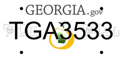 TGA3533 Georgia License Plate