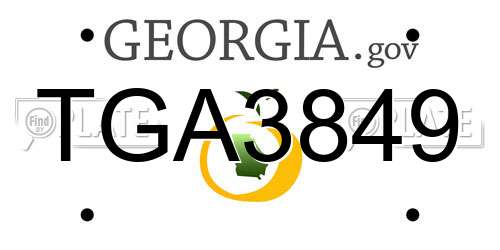 TGA3849 Georgia License Plate