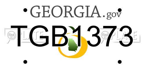 TGB1373 Georgia License Plate