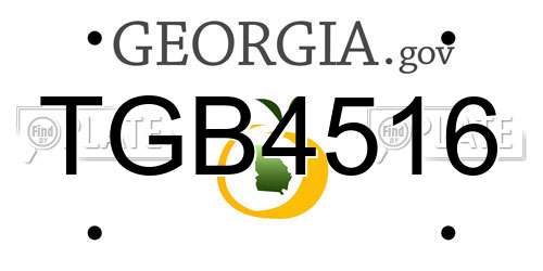 TGB4516 Georgia License Plate