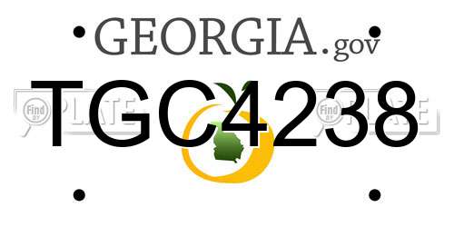 TGC4238 Georgia License Plate