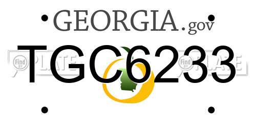 TGC6233 Georgia License Plate
