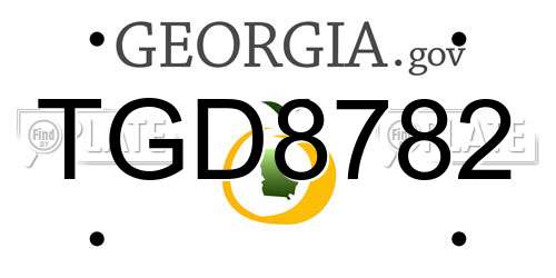 TGD8782 Georgia License Plate
