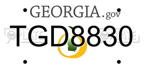 TGD8830 Georgia License Plate