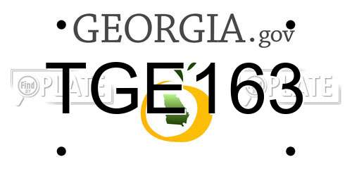 TGE163 Georgia License Plate