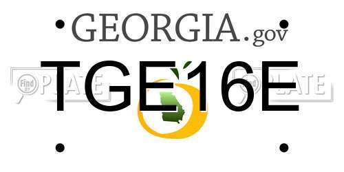 TGE16E Georgia License Plate