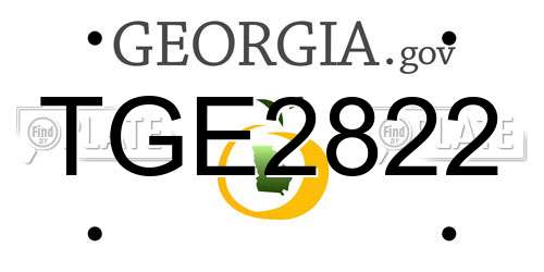 TGE2822 Georgia License Plate
