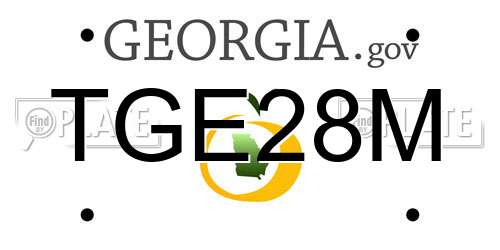 TGE28M Georgia License Plate