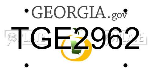 TGE2962 Georgia License Plate