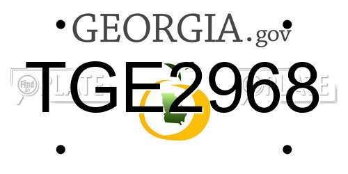 TGE2968 Georgia License Plate