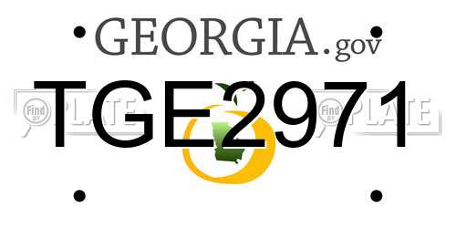 TGE2971 Georgia License Plate