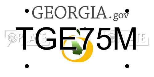 TGE75M Georgia License Plate