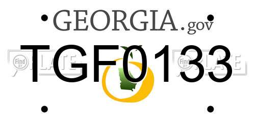 TGF0133 Georgia License Plate