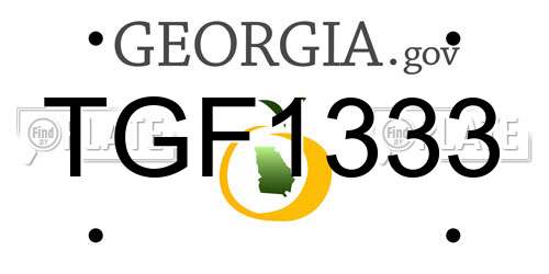 TGF1333 Georgia License Plate