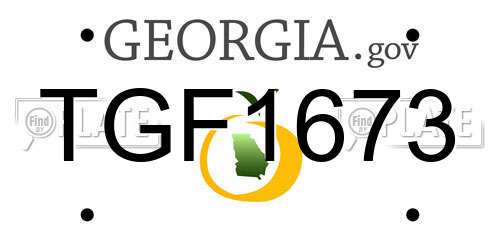 TGF1673 Georgia License Plate