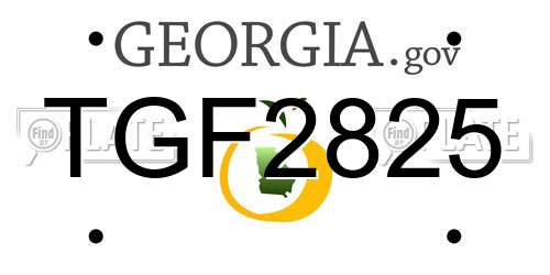 TGF2825 Georgia License Plate