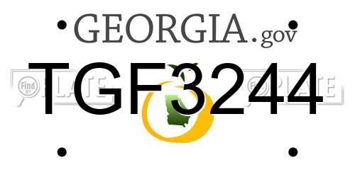 TGF3244 Georgia License Plate