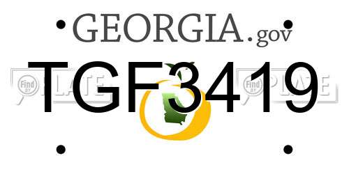 TGF3419 Georgia License Plate
