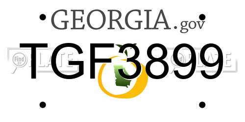 TGF3899 Georgia License Plate