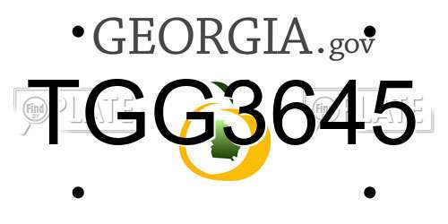 TGG3645 Georgia License Plate