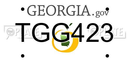 TGG423 Georgia License Plate