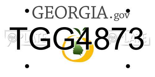 TGG4873 Georgia License Plate