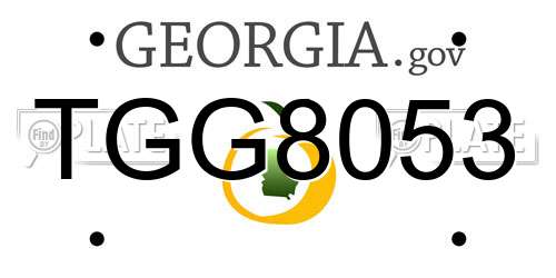 TGG8053 Georgia License Plate