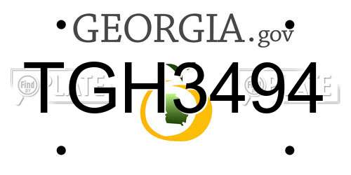TGH3494 Georgia License Plate