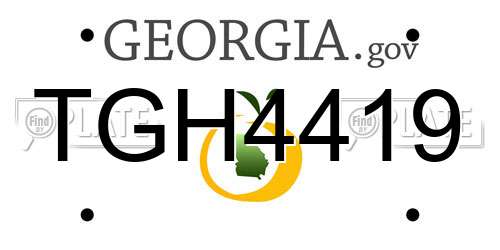 TGH4419 Georgia License Plate