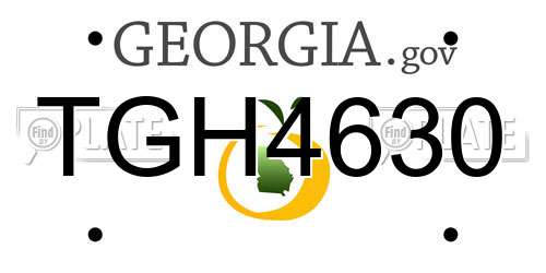 TGH4630 Georgia License Plate
