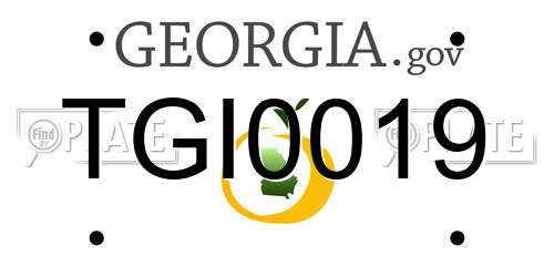 TGI0019 Georgia License Plate