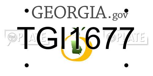 TGI1677 Georgia License Plate