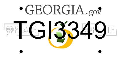 TGI3349 Georgia License Plate