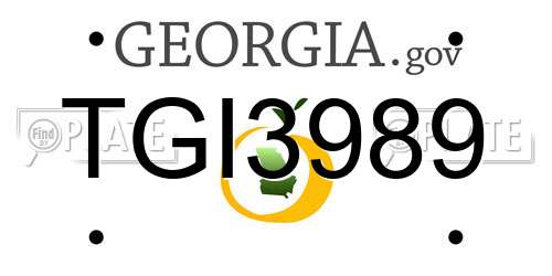 TGI3989 Georgia License Plate
