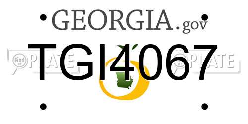 TGI4067 Georgia License Plate