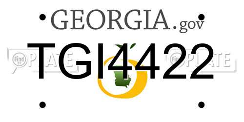TGI4422 Georgia License Plate