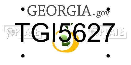 TGI5627 Georgia License Plate