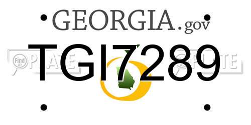 TGI7289 Georgia License Plate