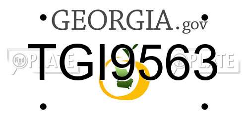 TGI9563 Georgia License Plate