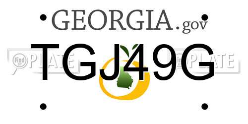 TGJ49G Georgia License Plate