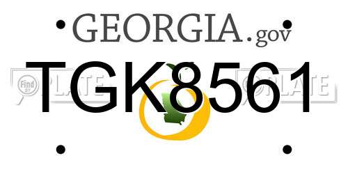 TGK8561 Georgia License Plate