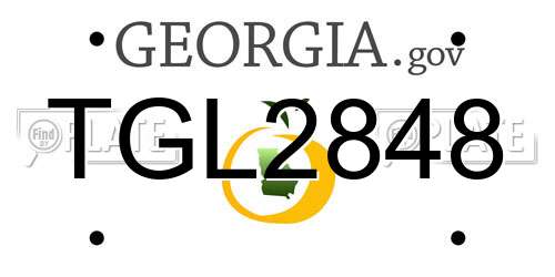 TGL2848 Georgia License Plate