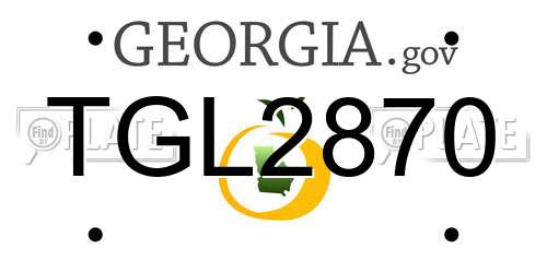 TGL2870 Georgia License Plate