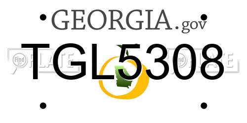 TGL5308 Georgia License Plate